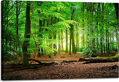 山 ポスター 山の絵 風水 玄関 風景 アートパネル 森林 壁掛け 緑 自然