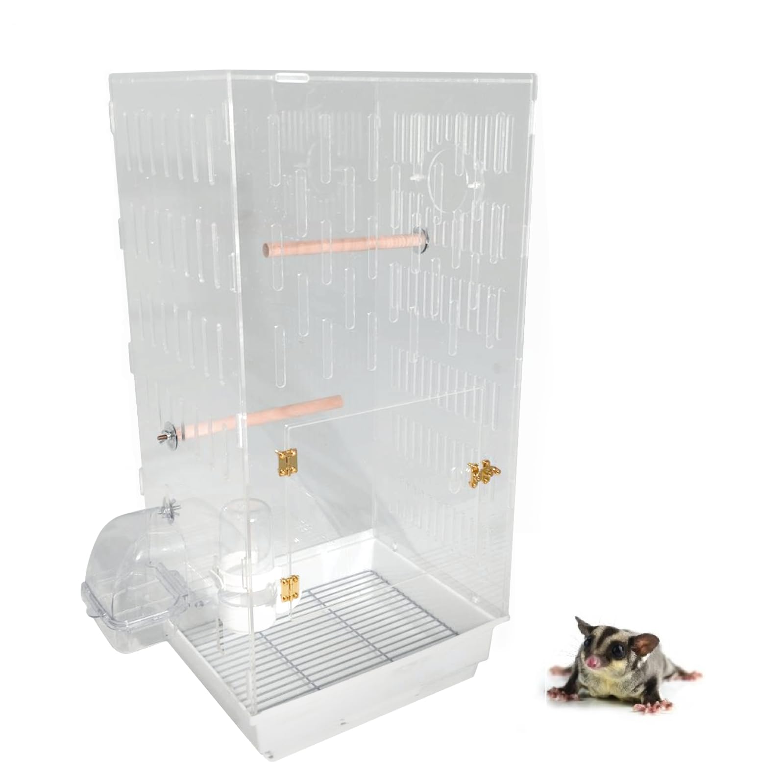 Amazon | MINORITY DESIGN フクロモモンガ 360度見渡せるアクリル