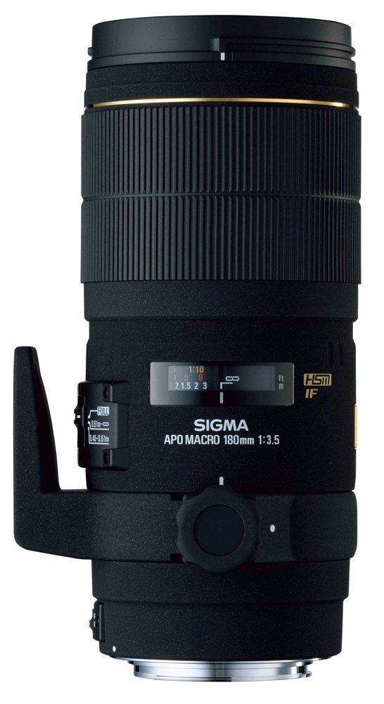 Amazon.com : Sigma 180mm f/3.5 EX DG IF HSM APO Macro Lens for