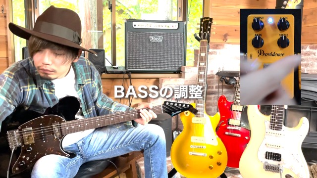 Amazon | Providence プロビデンス ギターエフェクター STAMPEDE DT