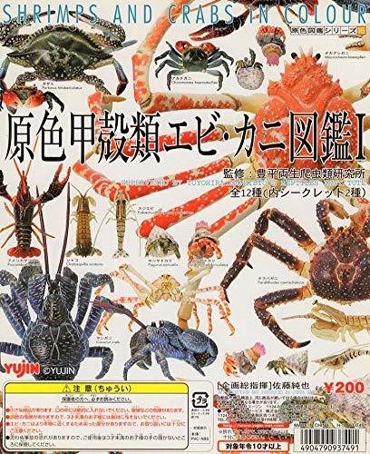Amazon | 原色 甲殻類エビ・カニ図鑑Ⅰ初版 …5種 (スジエビ、ホン