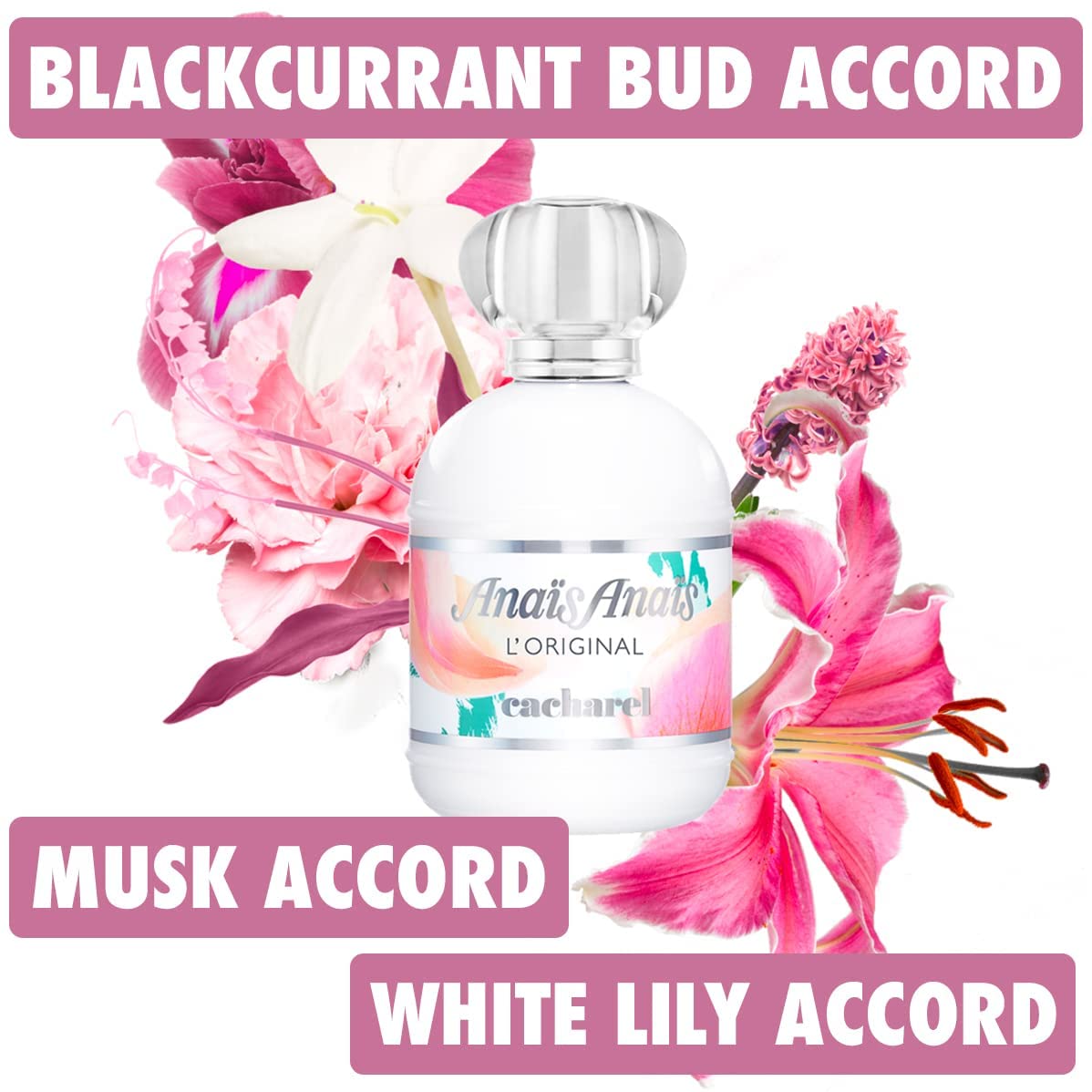 Amazon | キャシャレル アナイスアナイスEDT 50ml [並行輸入品