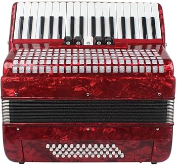 Amazon.co.jp: アコーディオン 48 ベース 34 キー プロの鍵盤楽器
