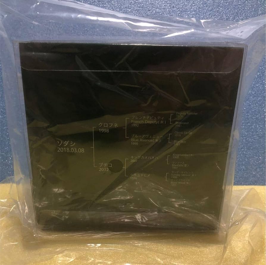 Amazon.co.jp: ホースフィギュア ソダシ 競馬 JRA アイドルホース