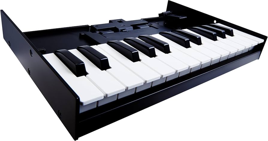 Amazon.co.jp: ローランド Keyboard Unit K-25M Roland Roland