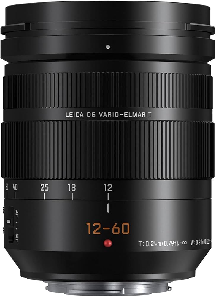 Amazon.com : Panasonic LUMIX Professional 12-60mm Camera Lens