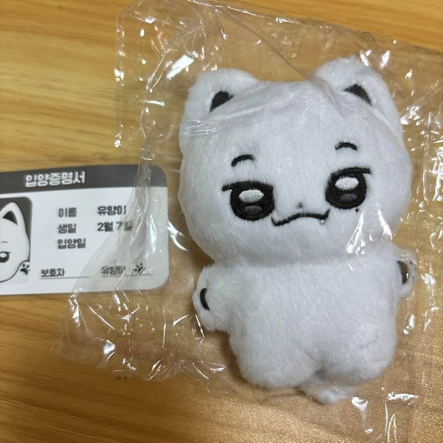 &team エンティーム ユウマ yuma マスター ぬいぐるみ 윰달이 &team