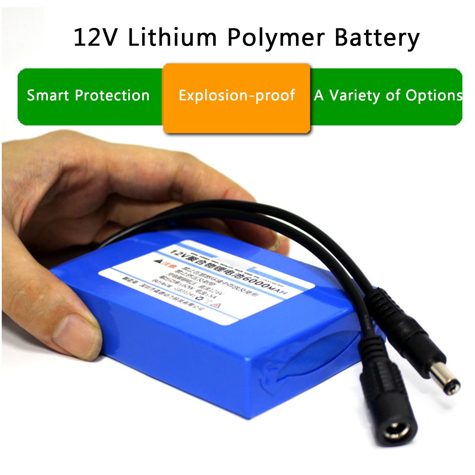 Amazon.co.jp: 12V 6000mAh ポリマー リチウム バッテリー 充電式