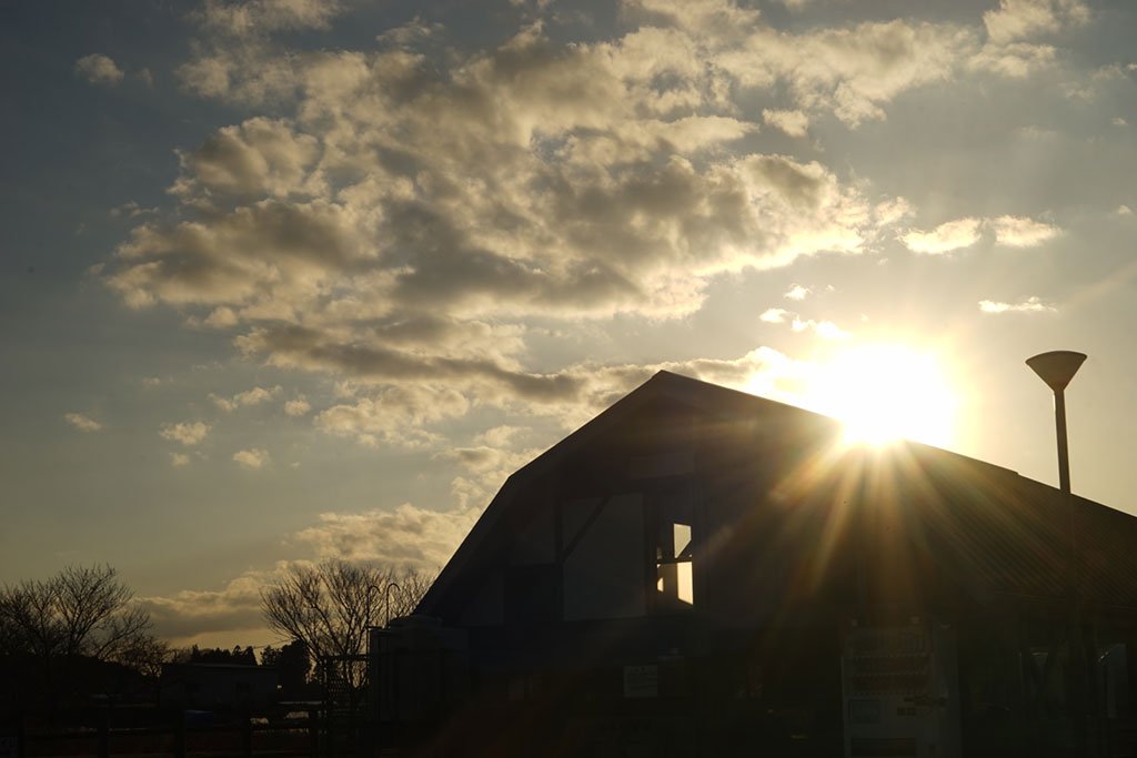 Amazon | ※オールドレンズ※INDUSTAR-22 50mm/f3.5 沈胴式 Lマウント