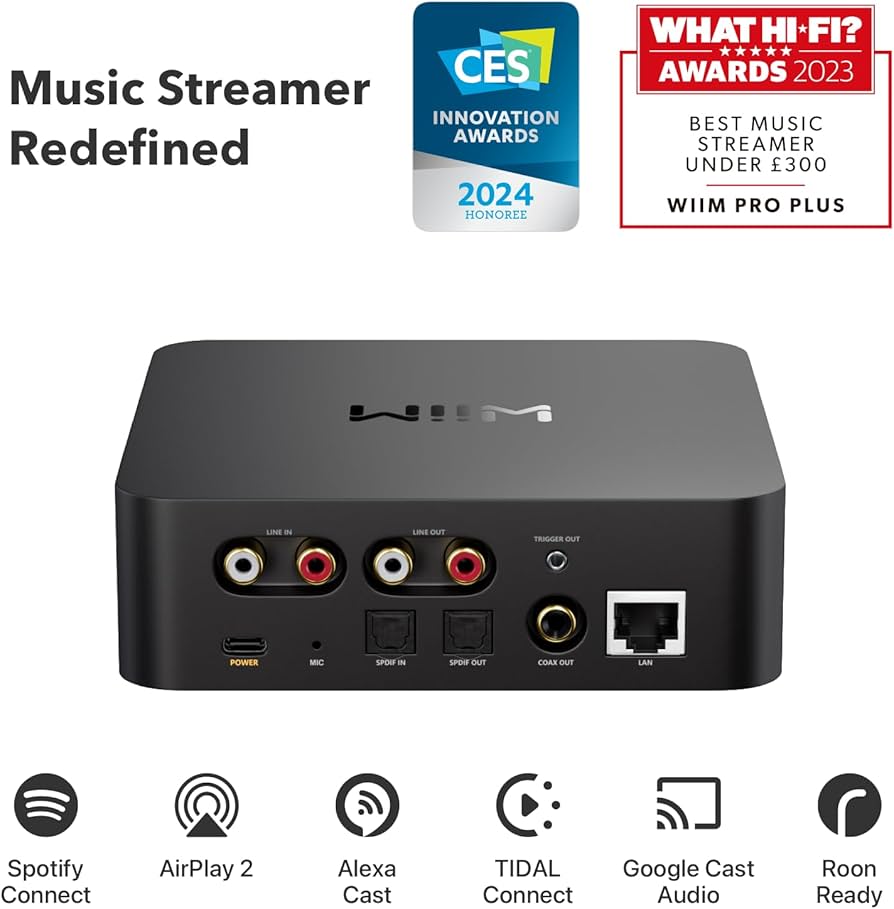 Amazon.com: WiiM Pro Plus AirPlay 2 Receiver, Google Cast Audio