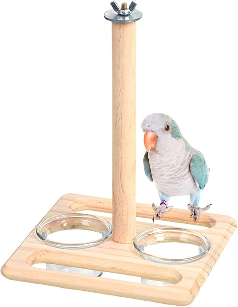 Amazon | Dfyiq 鳥かごの止まり木、ケージ用の鳥の止まり木 | 鳥かごの