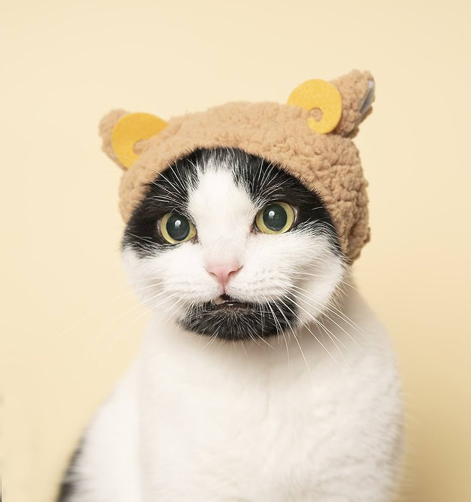 特装版】かわいいかわいい ねこのかぶりもの(付録つき) ([バラエティ