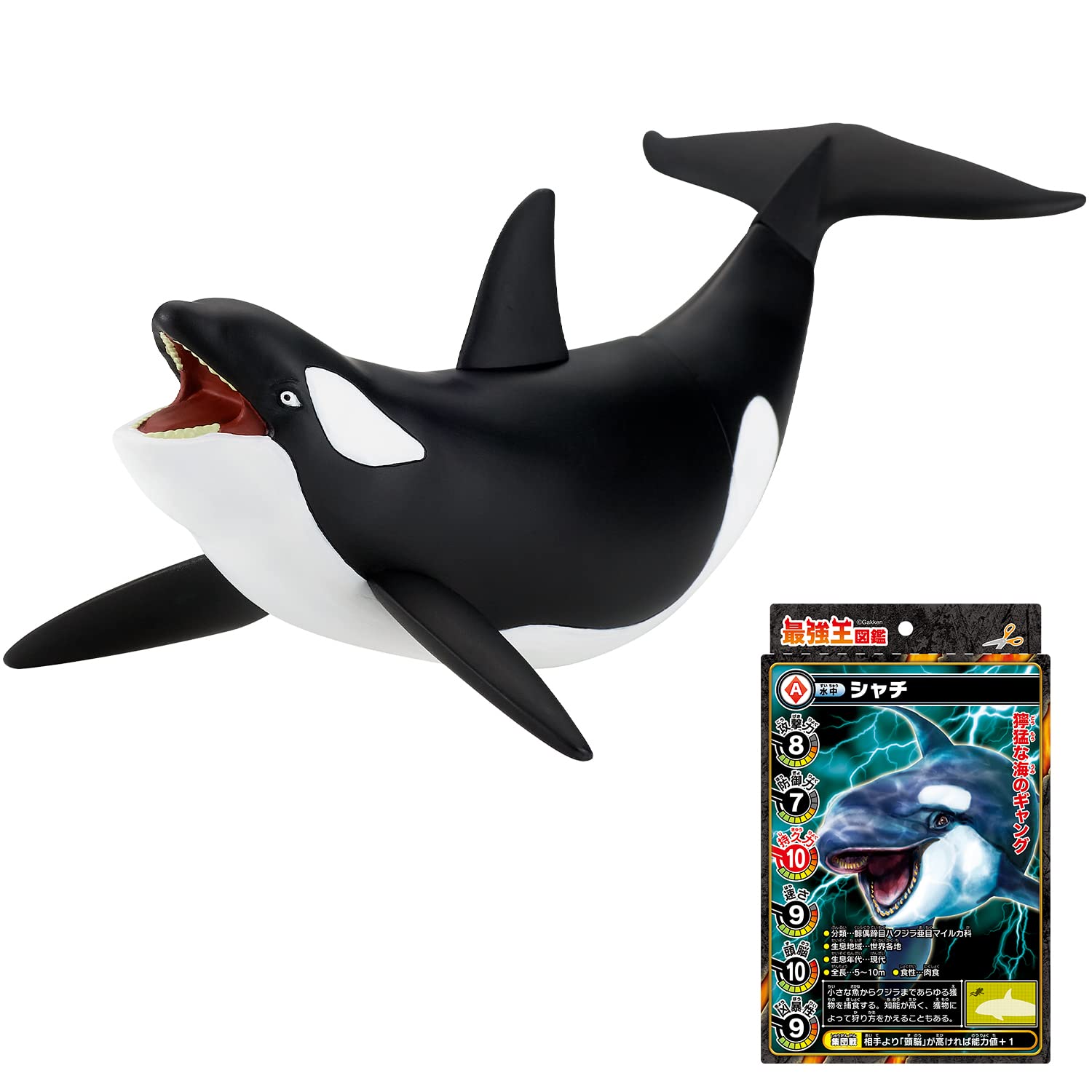 Amazon.co.jp: 最強王図鑑 最強王バトルソフビ シャチ : おもちゃ