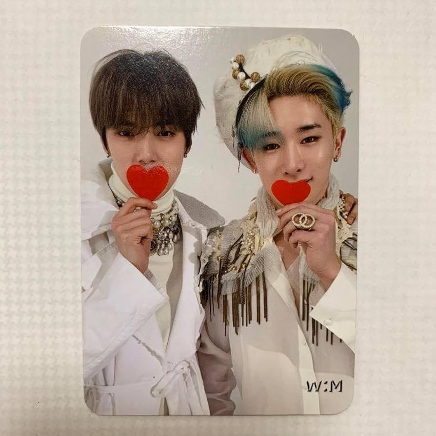 Amazon.co.jp: MONSTA X ウォノ ミニョク ユニット トレカ サノク