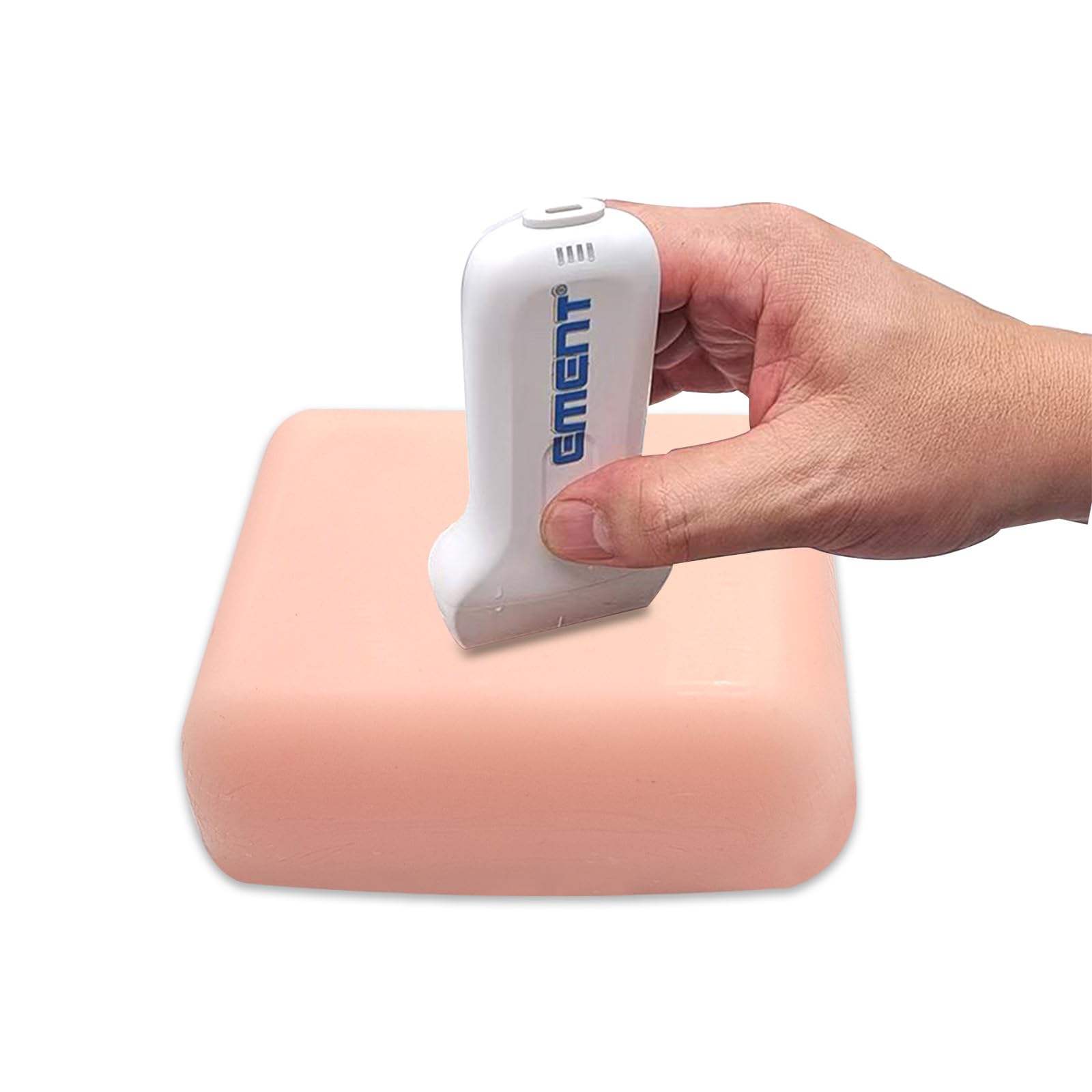 Amazon.co.jp: 超音波ガイド下神経ブロック訓練モデル - 局所麻酔教育