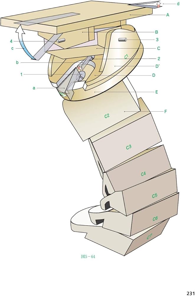 カパンジー機能解剖学 III 脊椎・体幹・頭部 原著第7版 | A.I.Kapandji