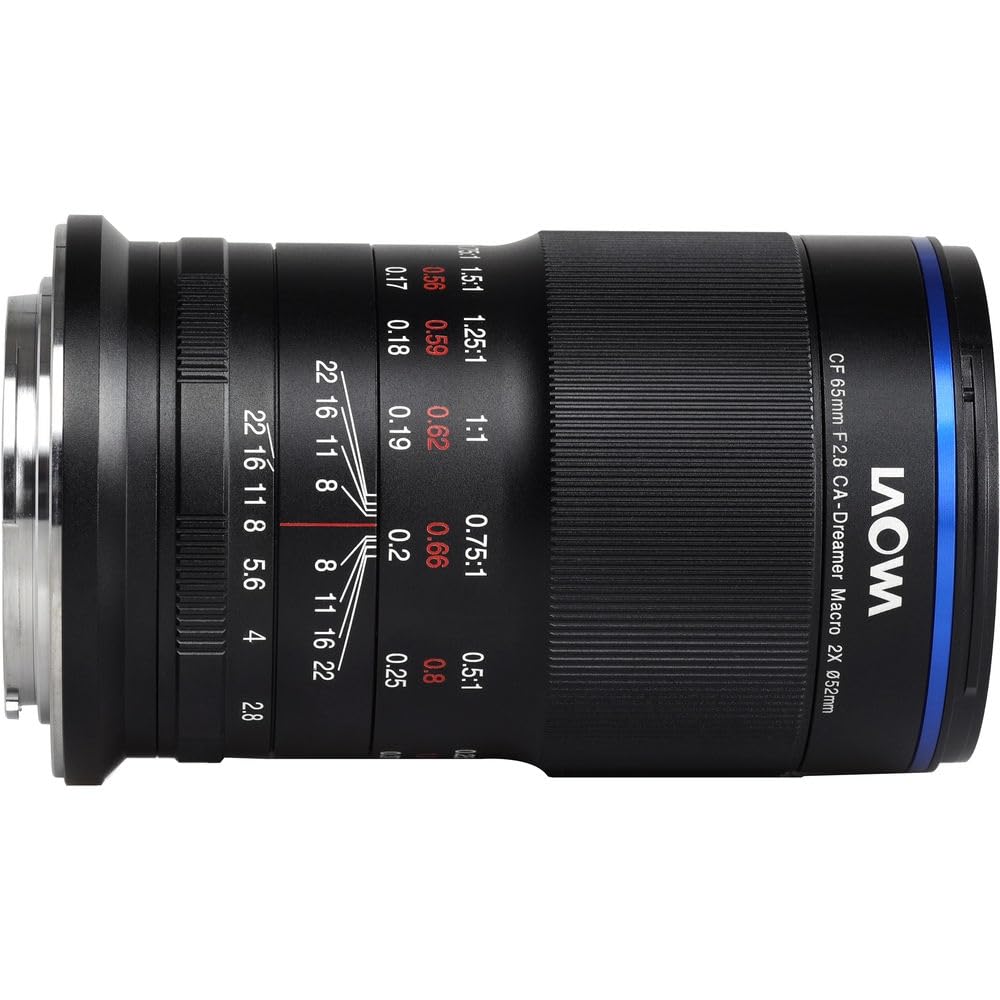 Amazon.com : Laowa 65mm f/2.8 2X Ultra Macro APO Lens for Sony E