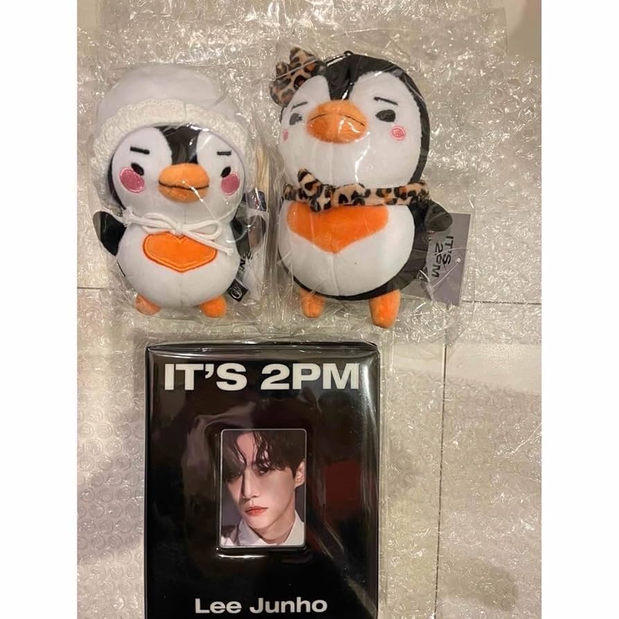 2PM ジュノ JUNHO BIG封筒＆ペンペンひまわりフィギュア