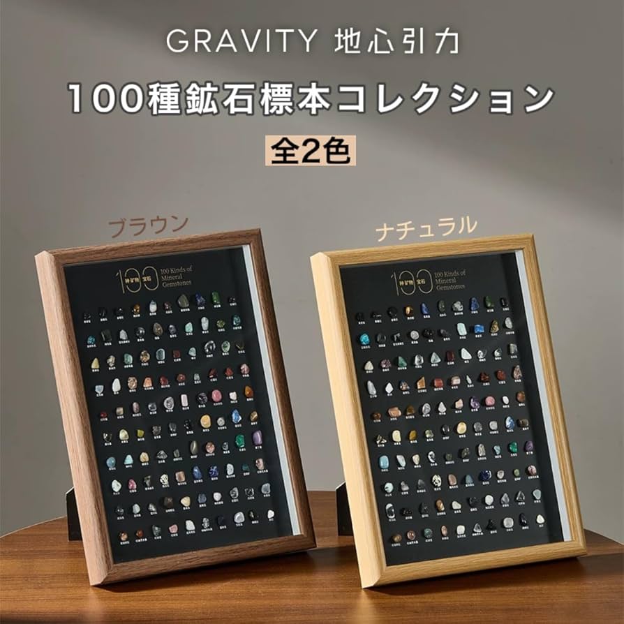 Amazon | GRAVITY 100種 鉱物 鉱石 標本 壁掛け スタンド 天然石