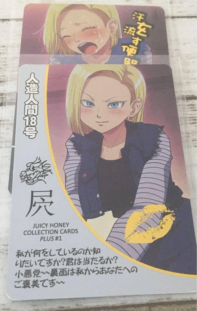 セクシーカード 9017 ネツ セクシーカード 9017 ネツ セクシーカード