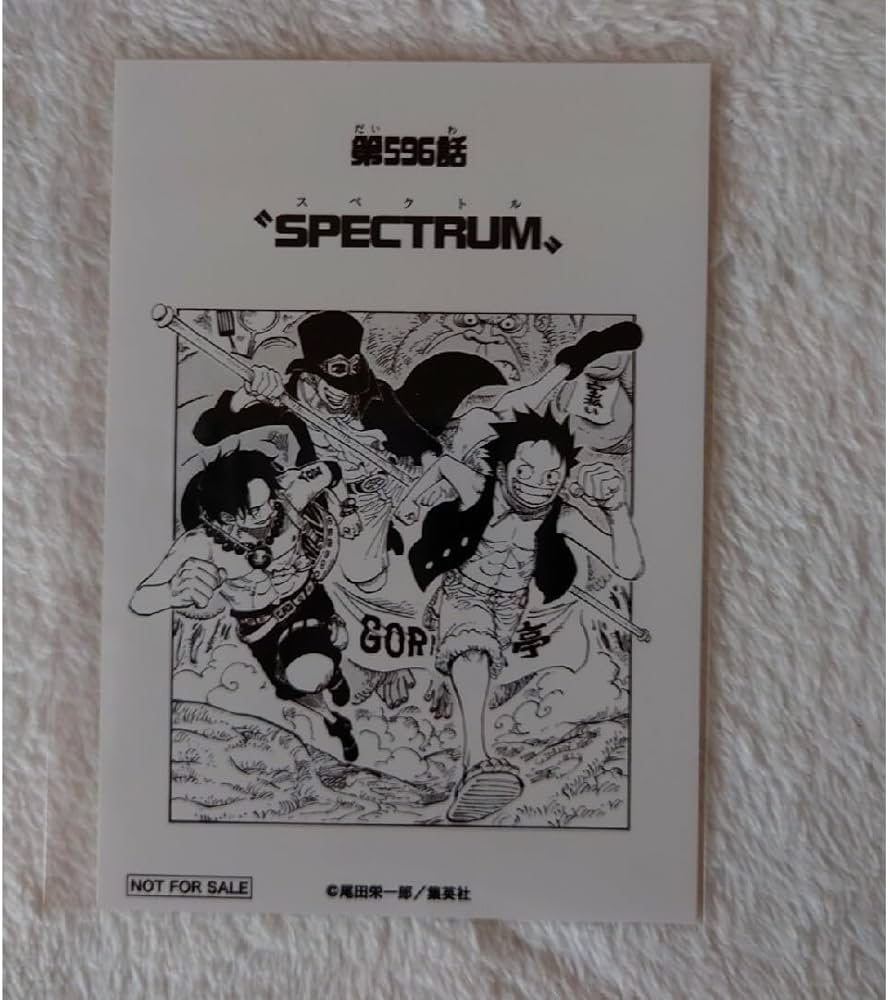 Amazon.co.jp: ワンピース 麦わらストア 1000LGOS 扉絵ブロマイド