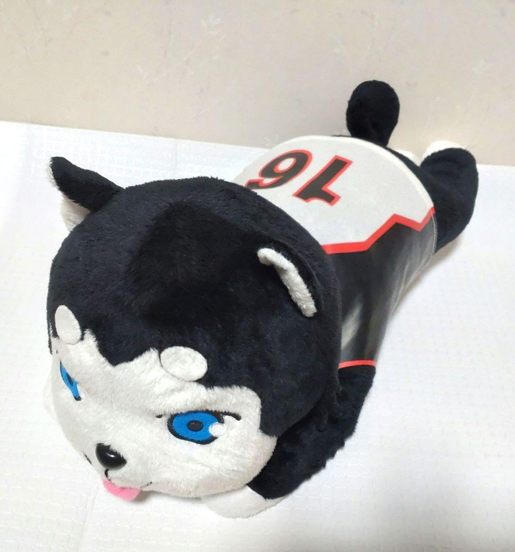 Amazon.co.jp: 黒子のバスケ 黒バス テツヤ2号 ぬいぐるみ : ホビー