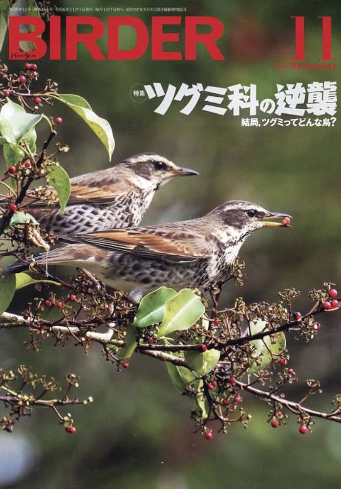 BIRDER 2024年 11 月号 [雑誌] |本 | 通販 | Amazon