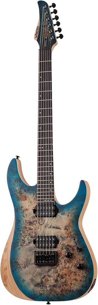 Amazon | Schecter Reaper-6 - Satin Sky Burst | エレキギター | 楽器