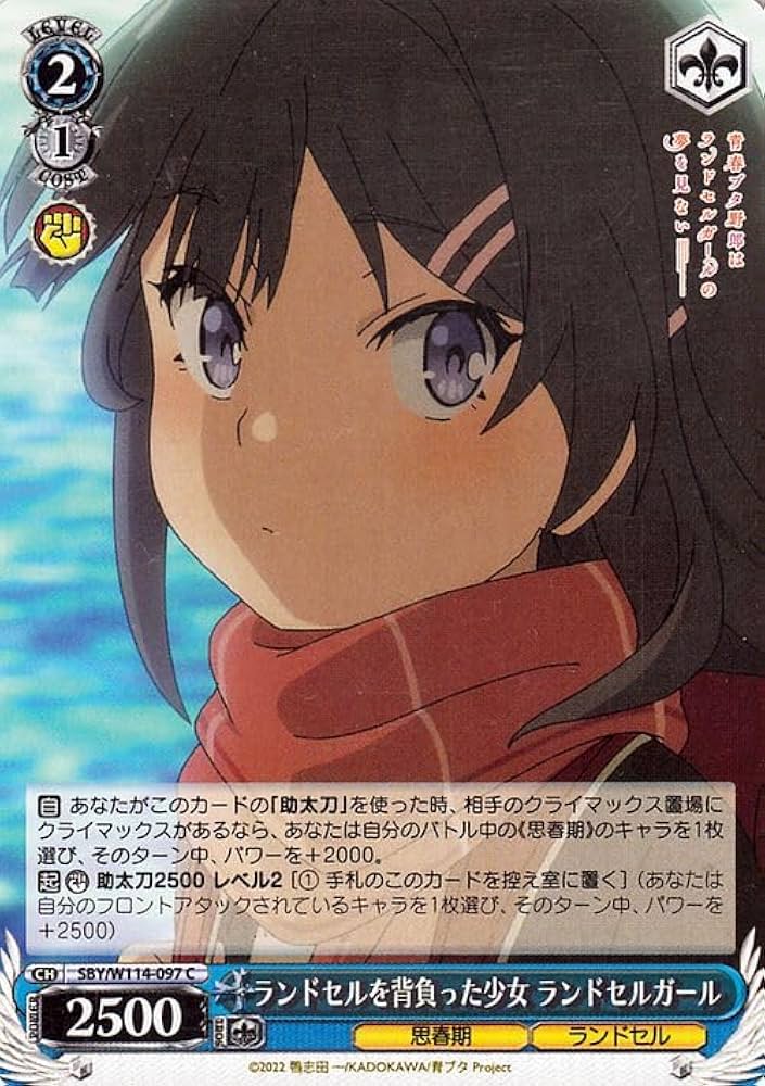 Amazon.co.jp: ヴァイスシュヴァルツ 『青春ブタ野郎』シリーズ