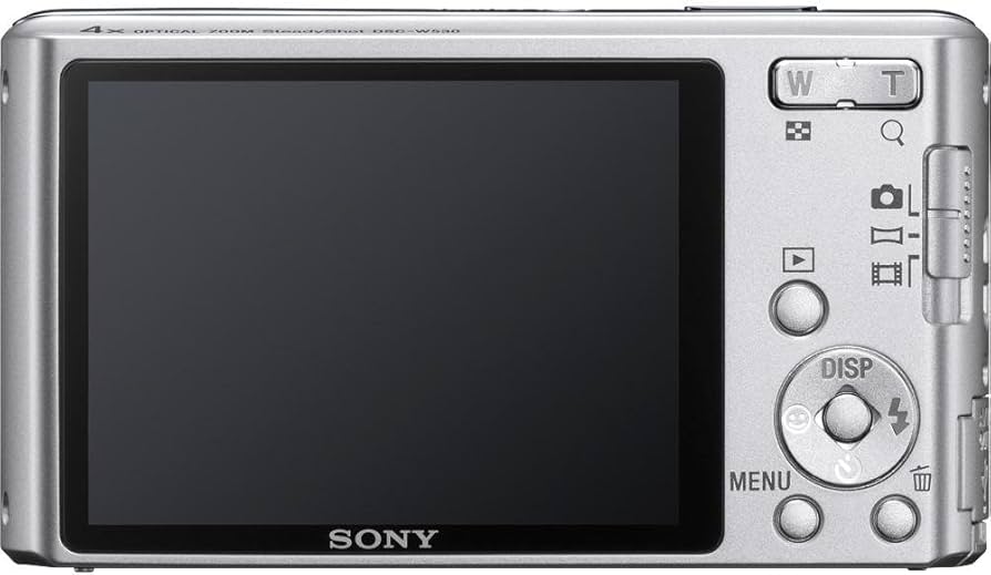 Amazon.com : Sony Cyber-Shot DSC-W530 14.1 MP Digital Still Camera