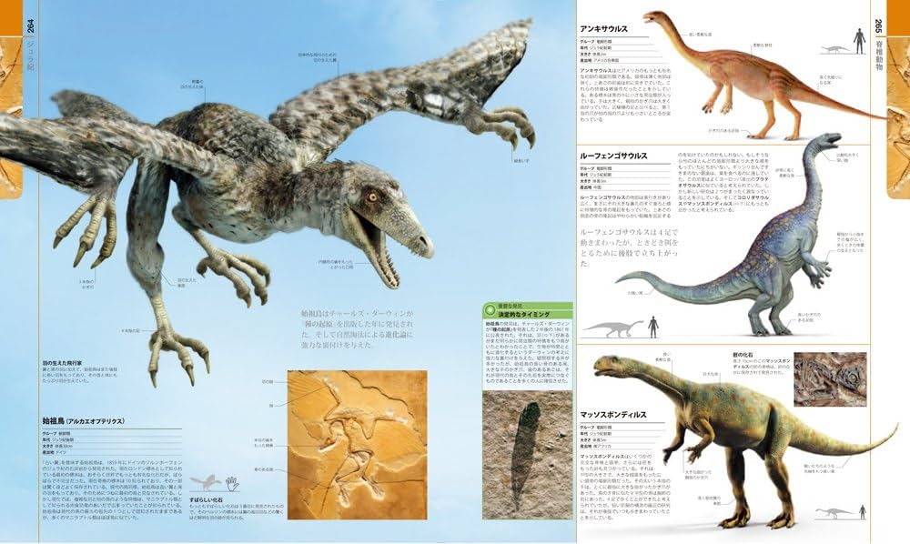Amazon.co.jp: 生物の進化 大図鑑 : マイケル・J・ベントン 他, 小畠