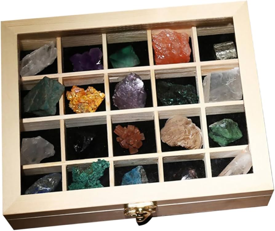 Amazon | GARVALON 教育用鉱物標本セット 20個 天然鉱石 石