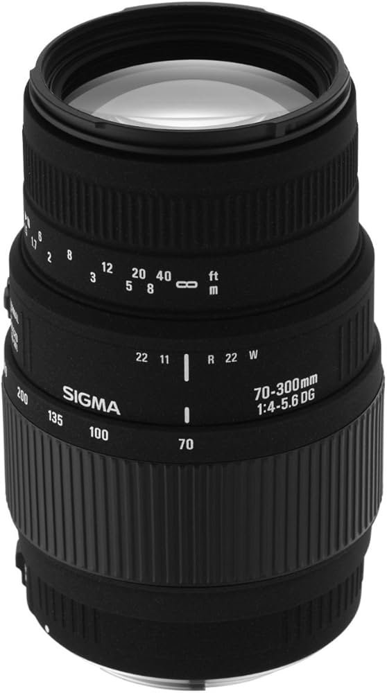 Amazon.co.jp: SIGMA 望遠ズームレンズ 70-300mm F4-5.6 DG MACRO