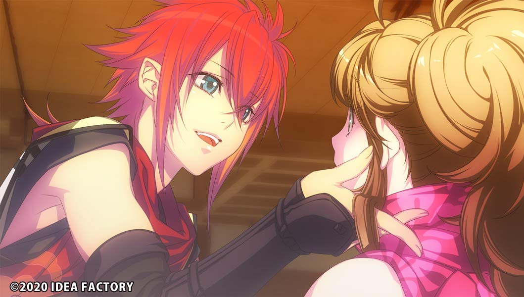 Amazon.co.jp: 忍び、恋うつつ for Nintendo Switch 限定版 : ゲーム