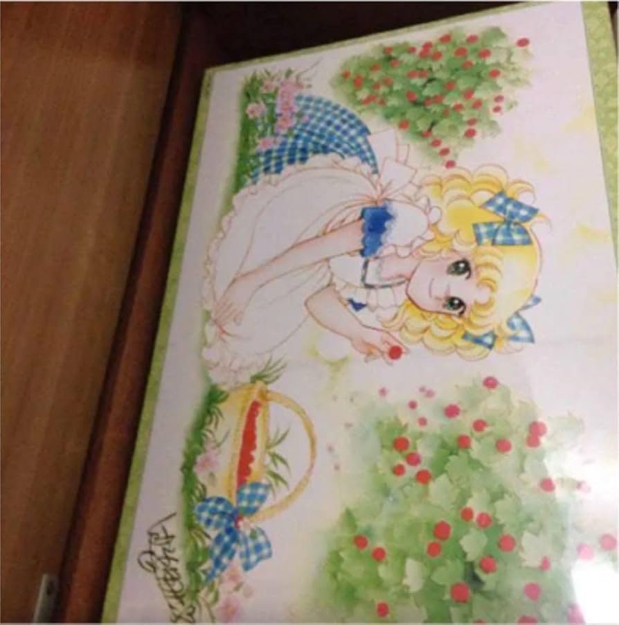 Amazon.co.jp: キャンディキャンディ いがらしゆみこ ジグソーパズル