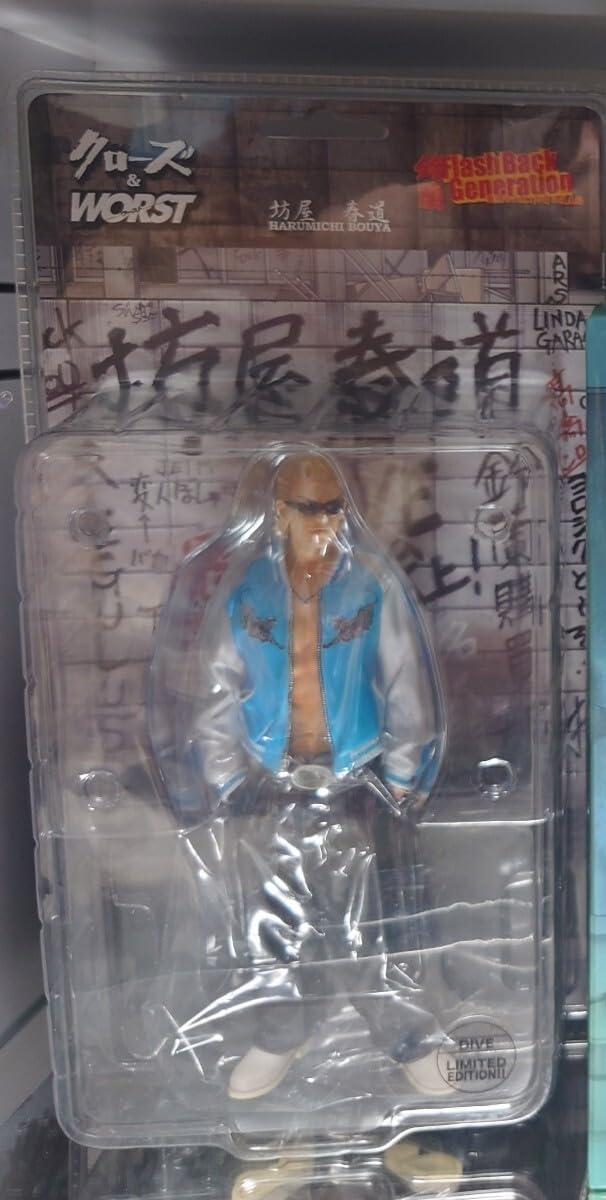 クローズ 坊屋春道 鈴蘭最強伝説 Flash Back Generation 九州限定版