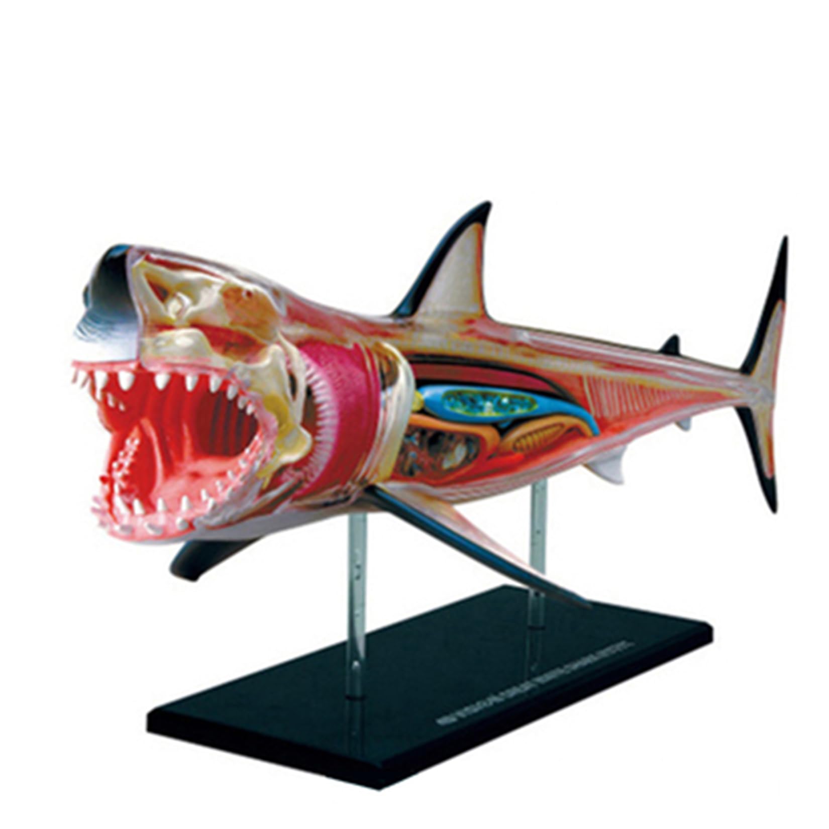 Amazon | BACALYSO | 4D VISION サメ リアル フィギュア 立体パズル