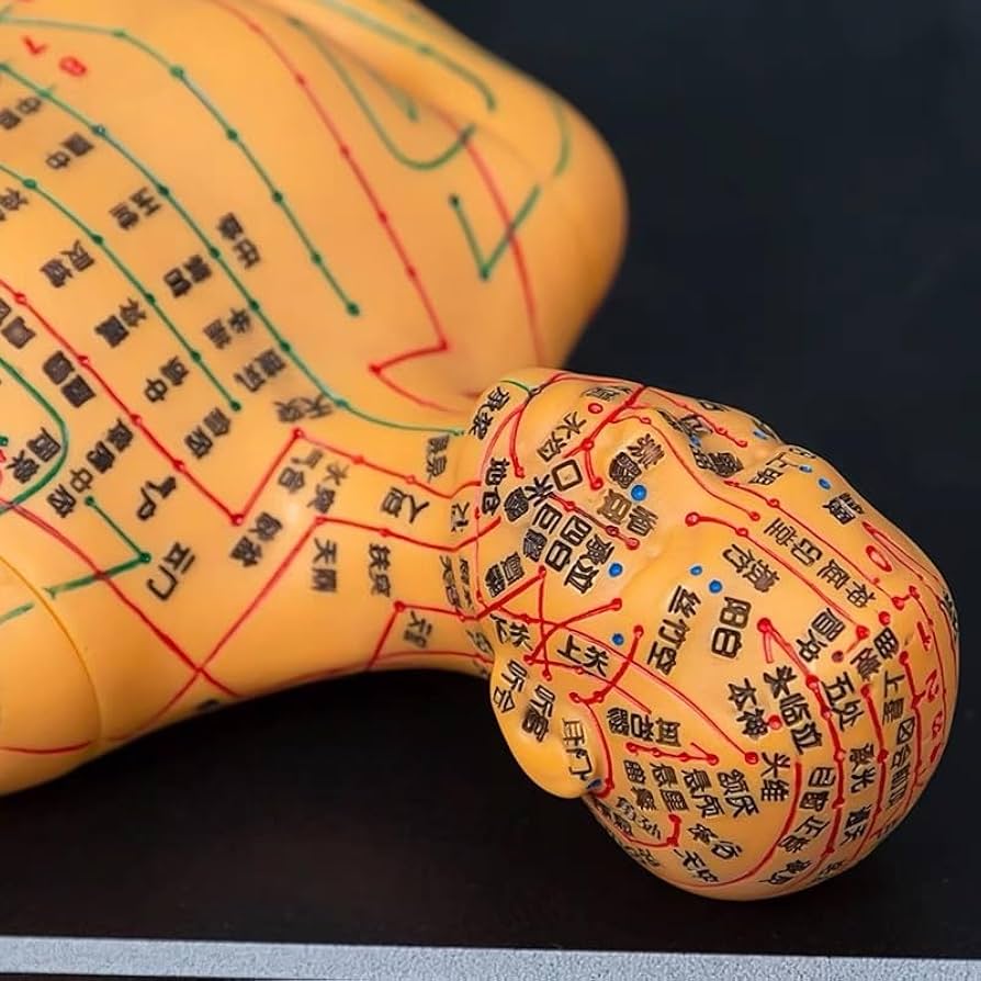 61WOqeE0vbL._AC_UF894,