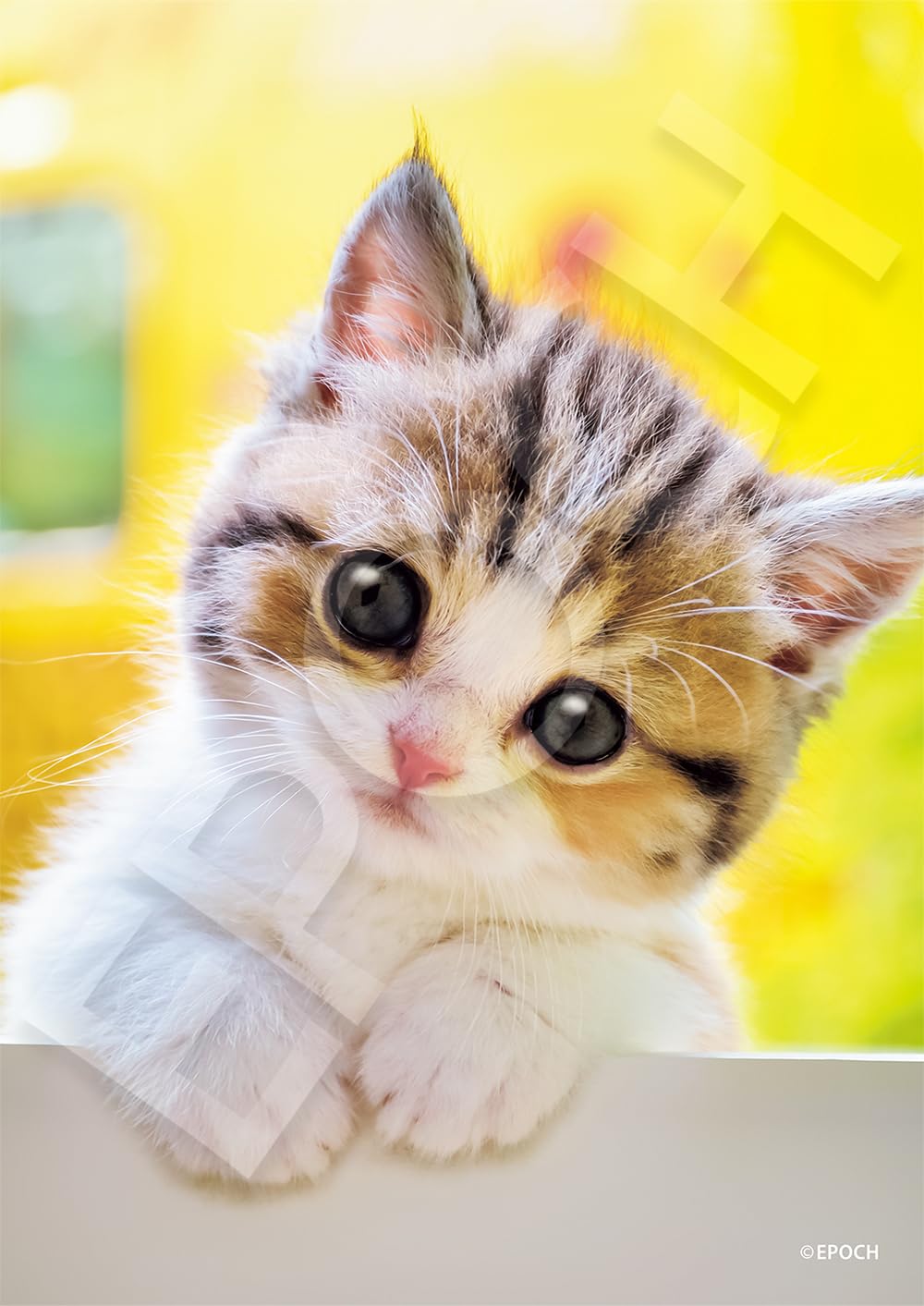 Amazon | エポック社（EPOCH） 108ピース ジグソーパズル いきもの