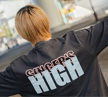 Amazon.co.jp: シンガーズハイ ロンT : おもちゃ