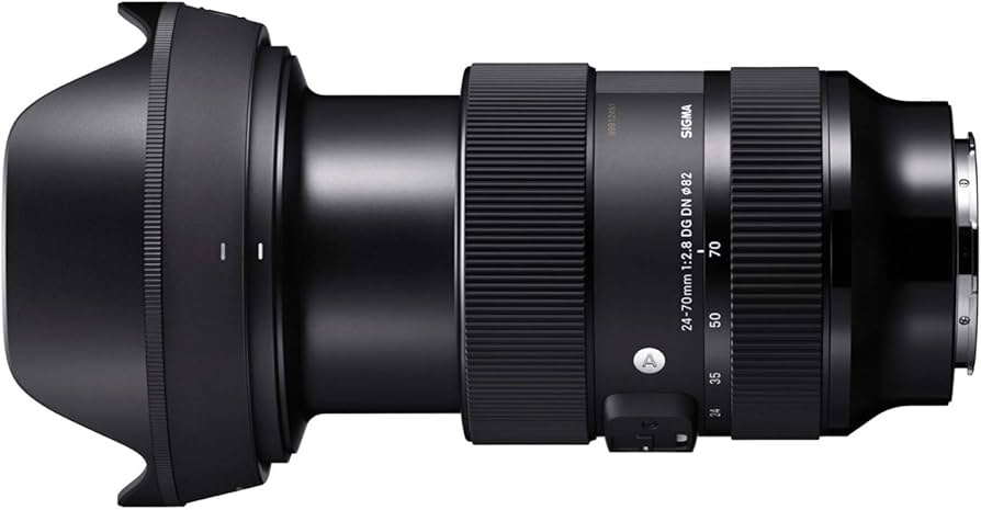 Amazon.com : Sigma 24-70mm F2.8 DG DN Art for L Mount : Electronics