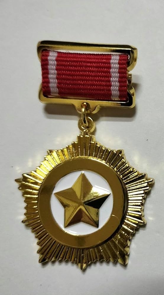 Amazon.co.jp: 北朝鮮 共和国英雄 金星メダル レプリカ 勲章