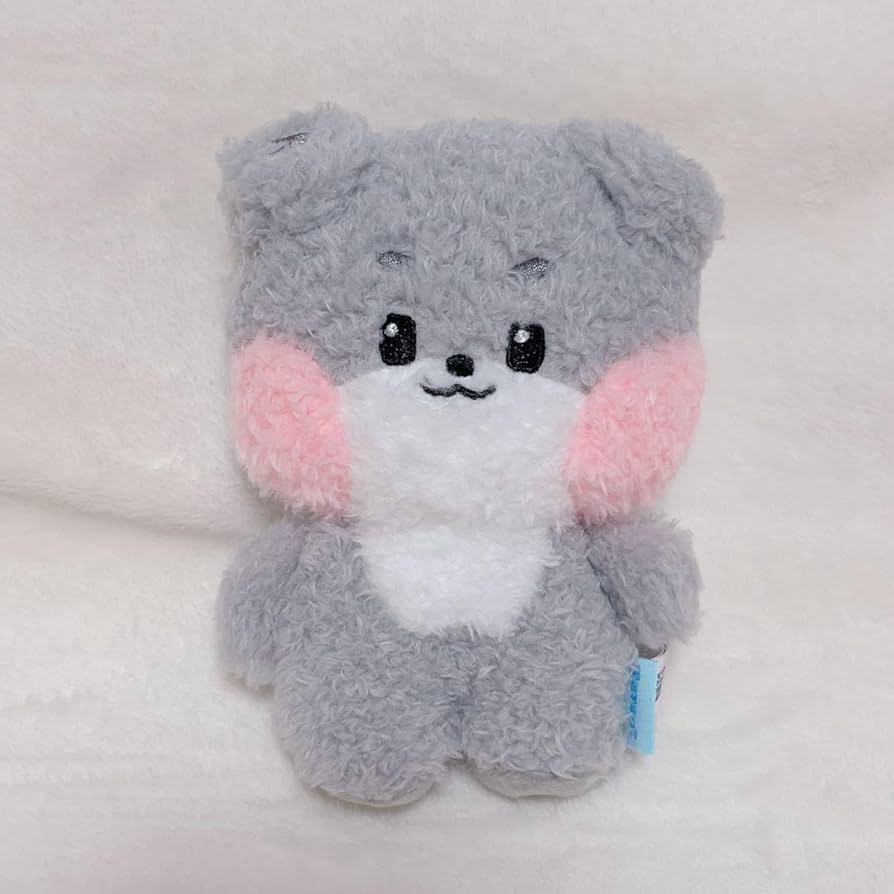 Amazon.co.jp: ZEROBASEONE ZB1 ゴヌク ゴニニ ぬい : おもちゃ