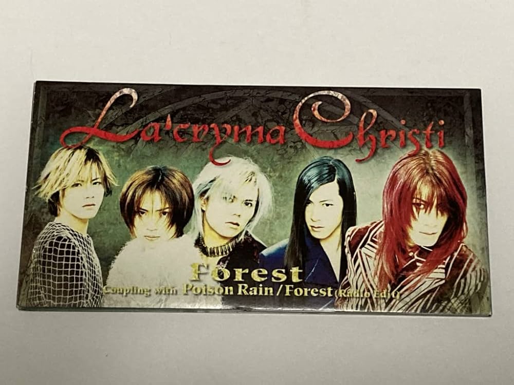 Amazon.co.jp: Forest: ミュージック