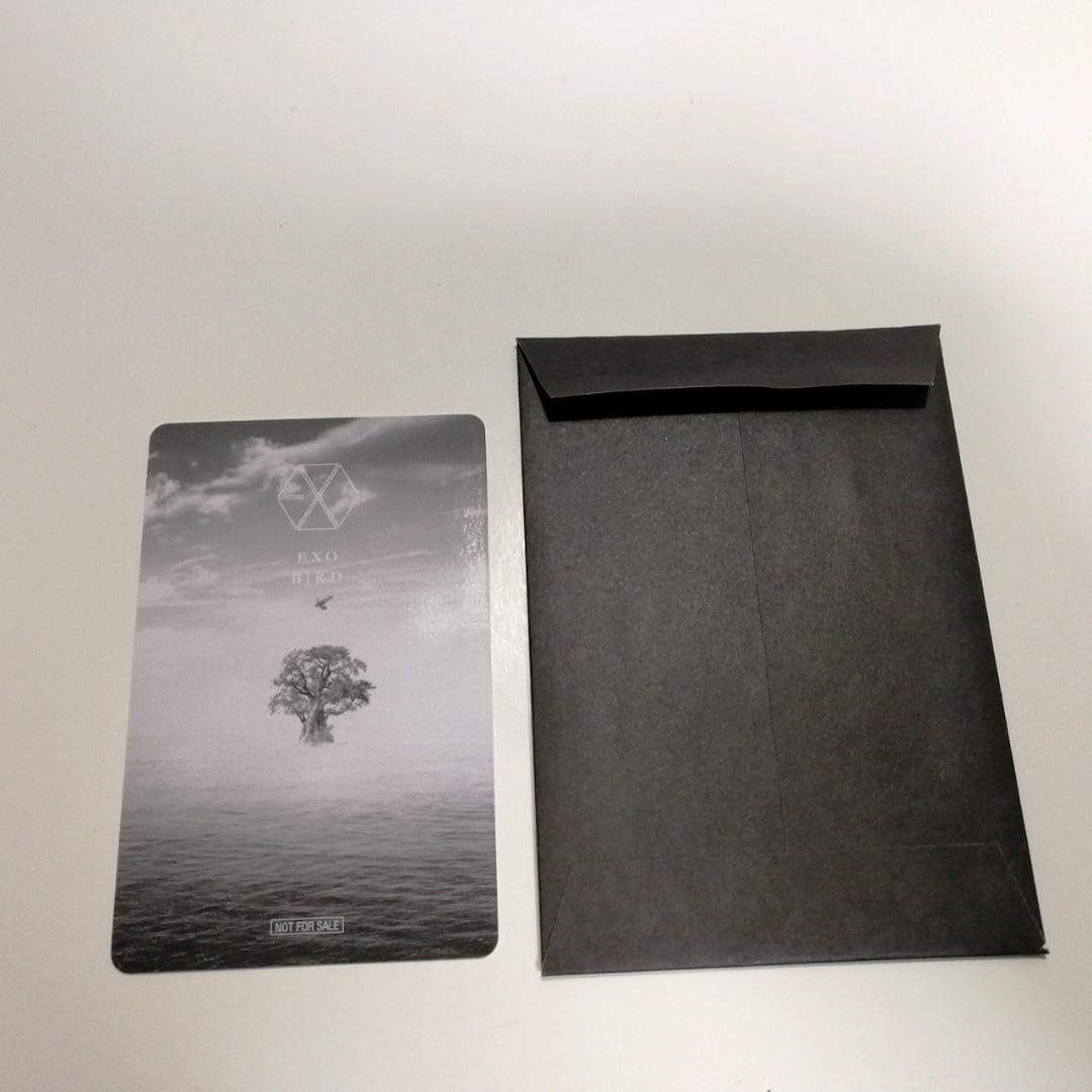 Amazon.co.jp: EXO Bird FC限定盤 セフン トレカ SEHUN : おもちゃ