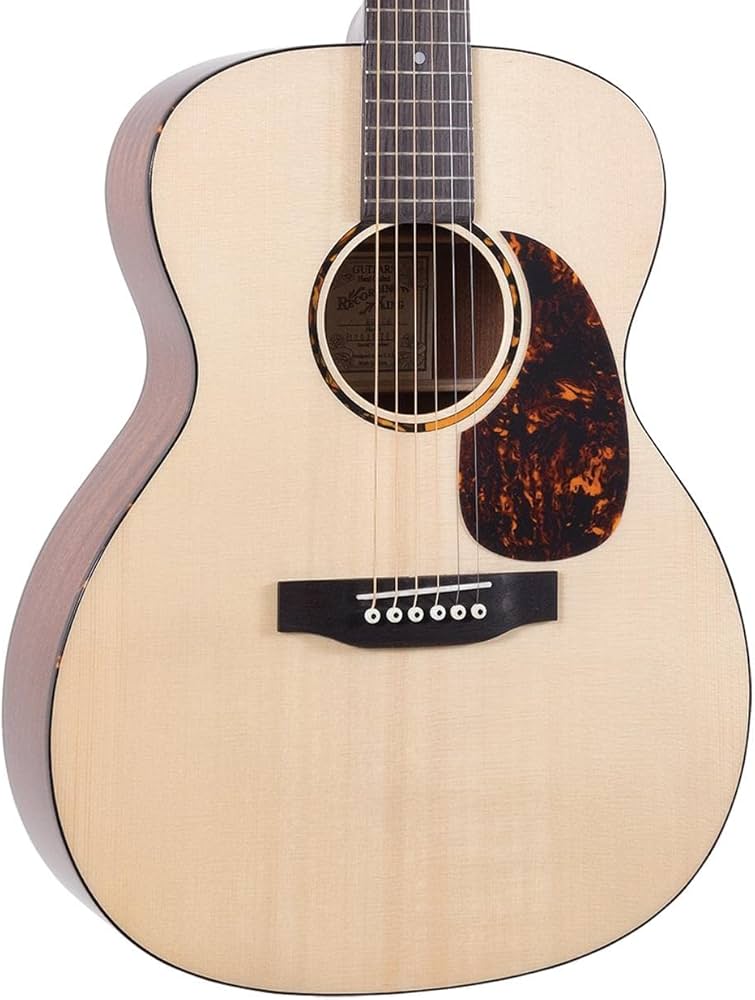 Amazon.com: Recording King RO-G6 Solid Top 000 Guitar : Musical