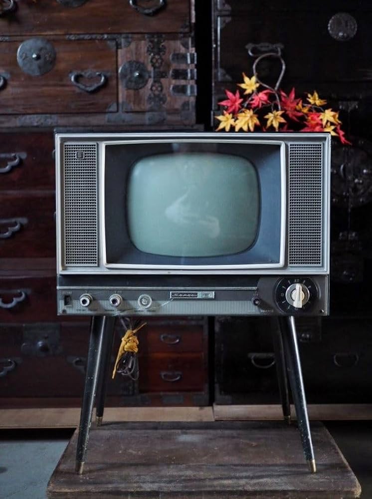 Amazon.co.jp: 昭和レトロな「SANYO」ブラウン管テレビ オブジェ研究