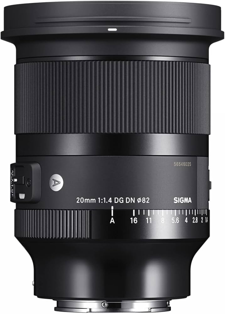 Amazon.com : 20mm F1.4 Art DG DN for Sony E Mount : Electronics