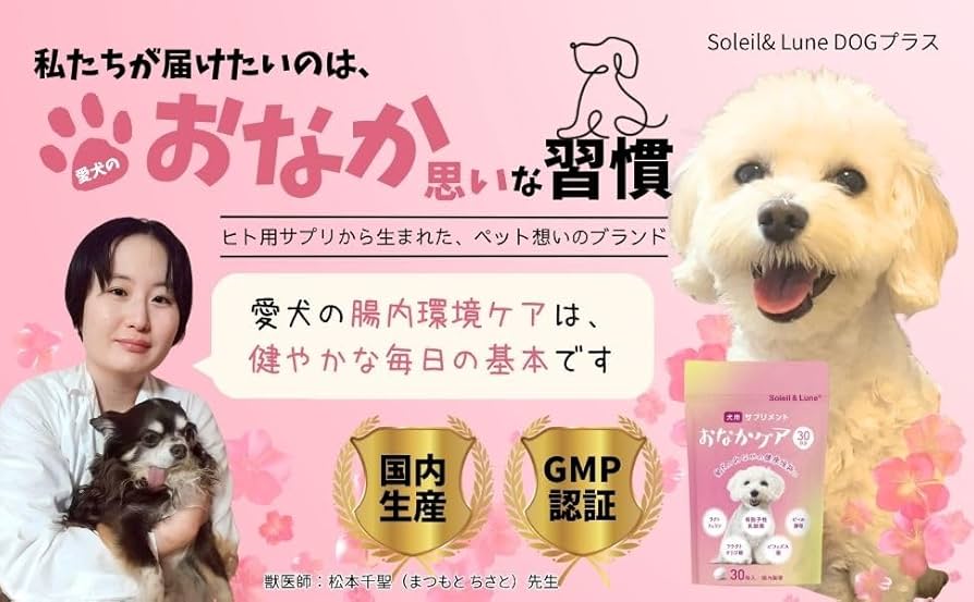 Amazon | 【獣医師監修】 犬用サプリメント 初めての腸活にも おなか