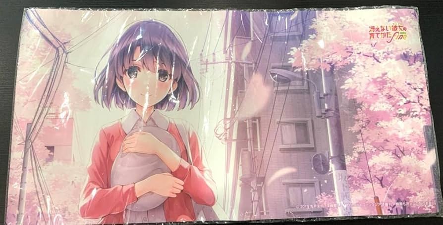 Amazon.co.jp: 冴えカノ 冴えない彼女の育てかた fine 加藤恵 プレイ